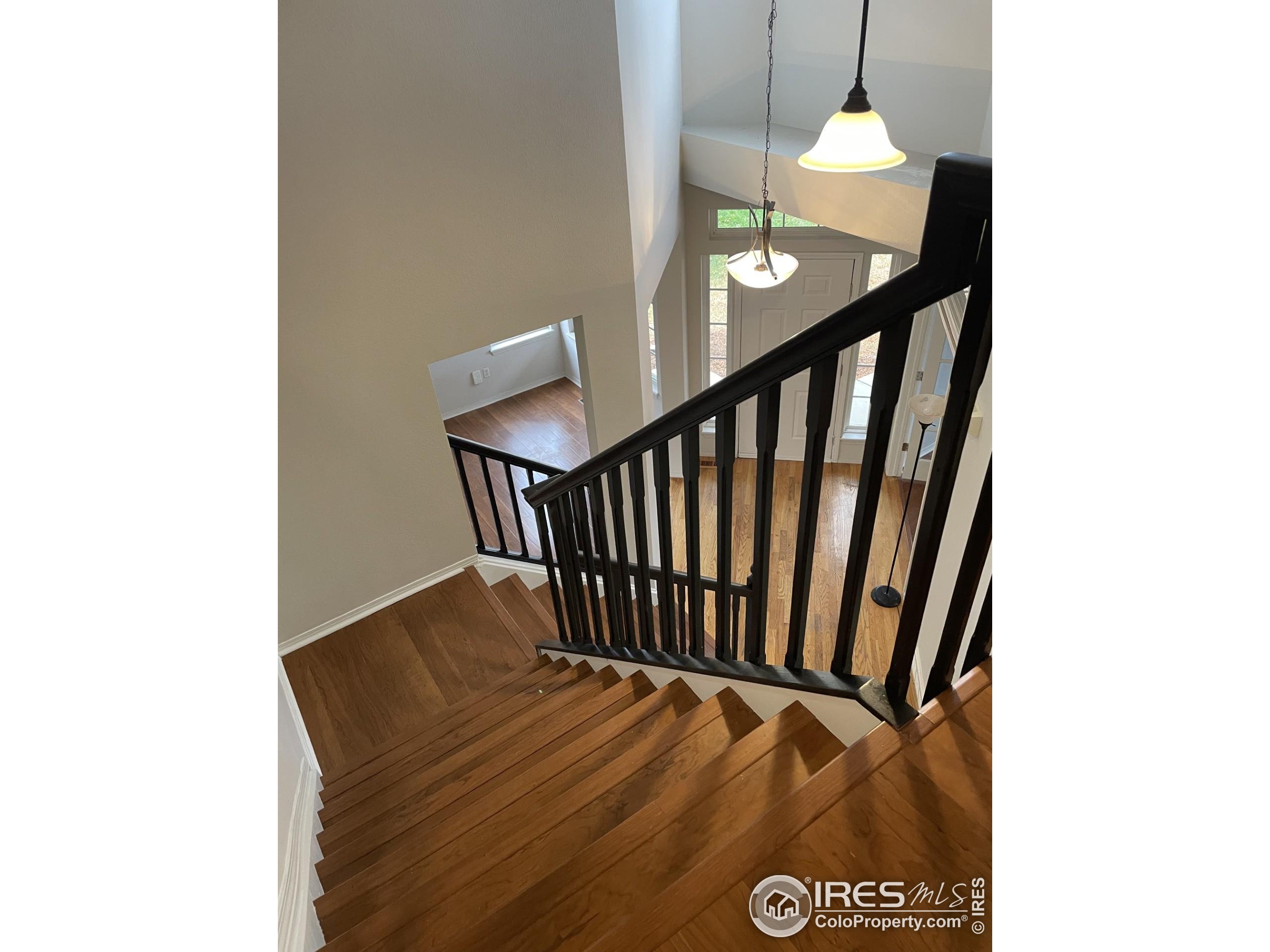 613 Rider Ridge Drive Longmont, CO 80504 - Photo 13 of 34 a view of entryway