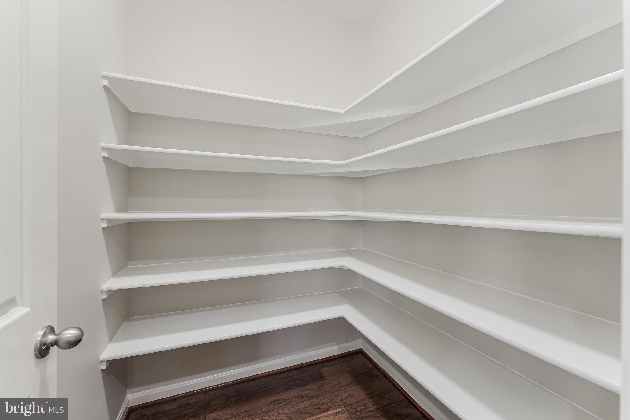 18747 Pier Trail Drive Triangle, VA 22172 - Photo 42 of 84 a view of walk in closet with empty racks