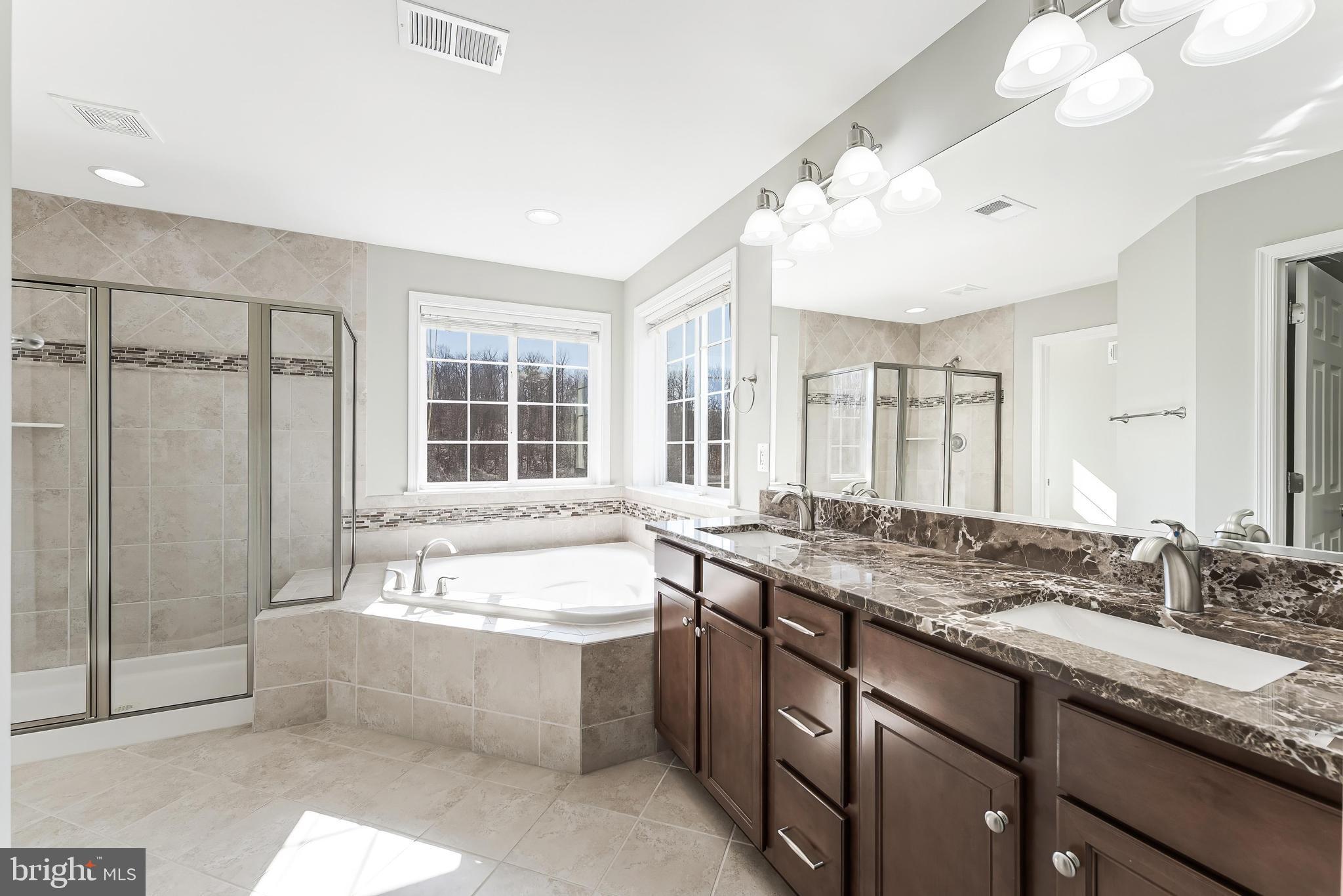 18747 Pier Trail Drive Triangle, VA 22172 - Photo 68 of 84 a spacious bathroom with a granite countertop tub sink shower and mirror