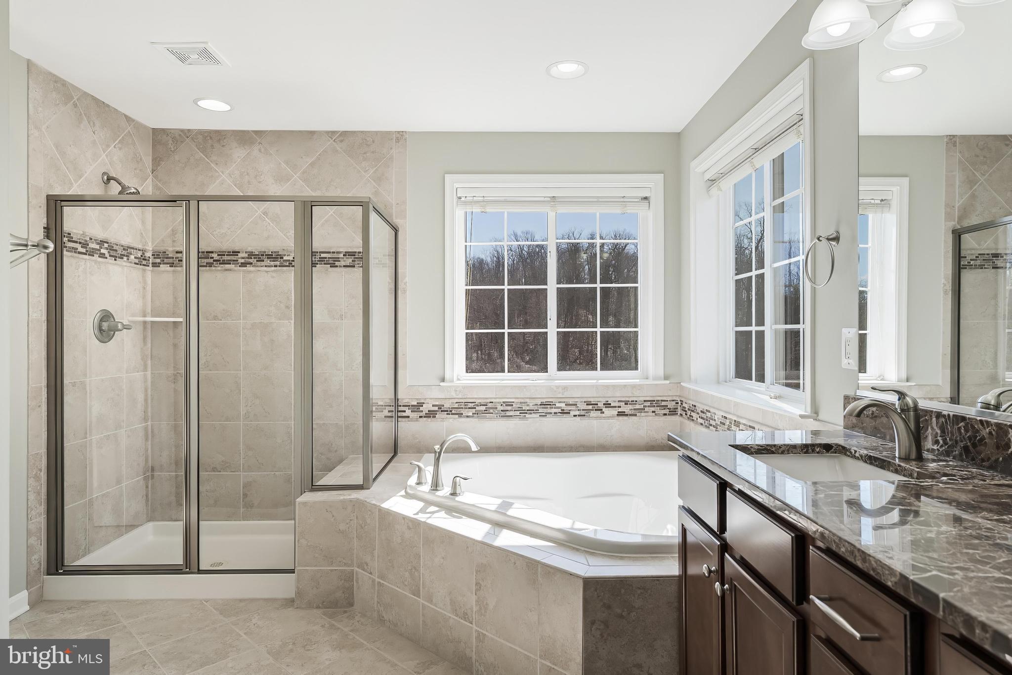 18747 Pier Trail Drive Triangle, VA 22172 - Photo 69 of 84 a bathroom with a granite countertop tub and a sink