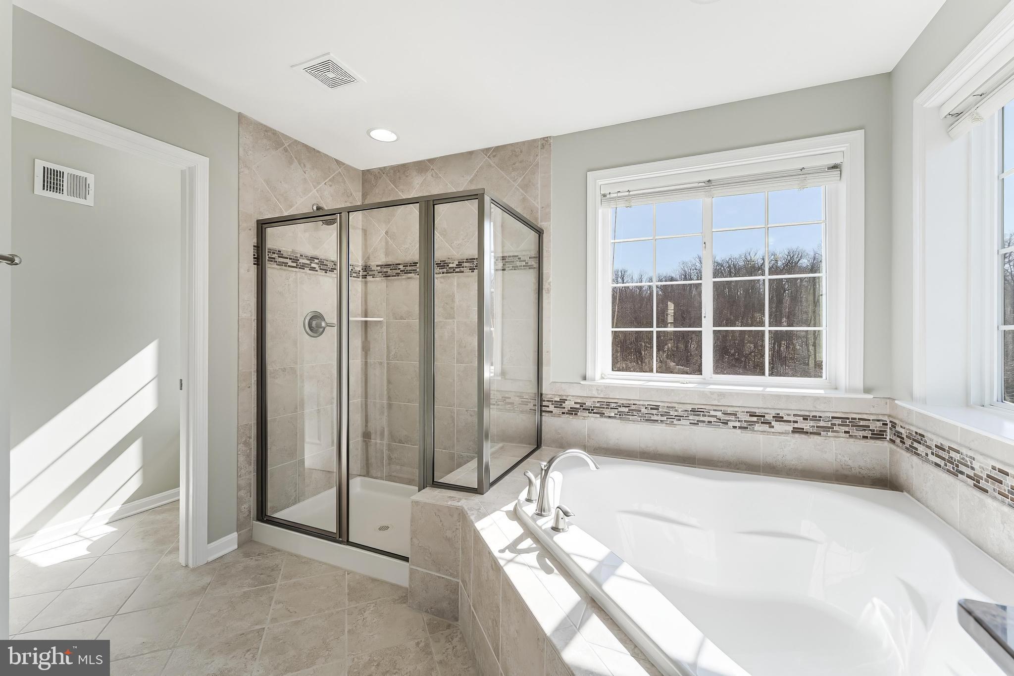 18747 Pier Trail Drive Triangle, VA 22172 - Photo 70 of 84 a spacious bathroom with a tub shower and sink