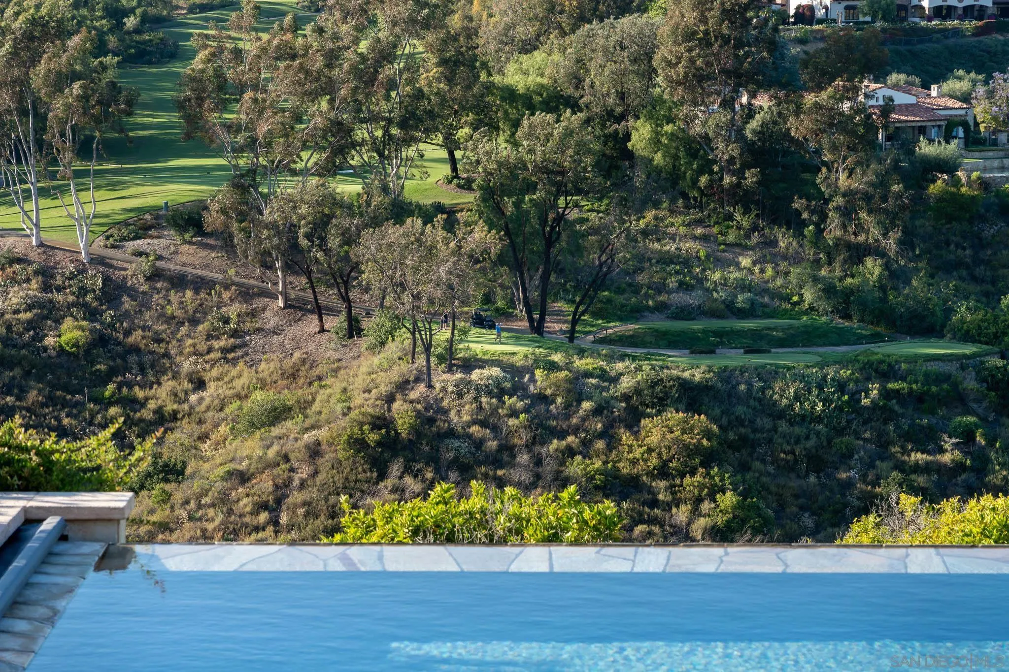 6248 Strada Fragante Rancho Santa Fe, CA 92091 - Photo 10 of 38 a view of a backyard of the house