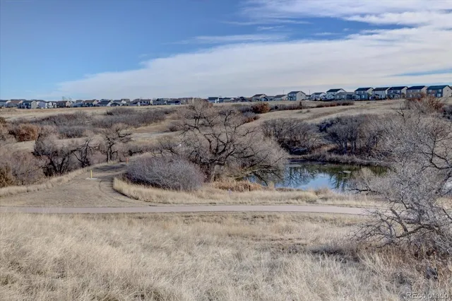 $495,000 | 162 South Tilbury Street, Castle Rock, CO 80104