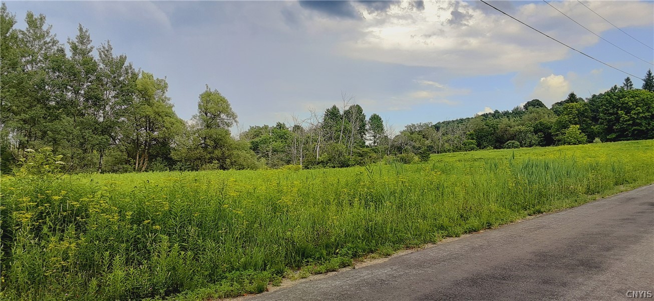 271 Snyder Road Newport, NY 13416 - Photo 32 of 41