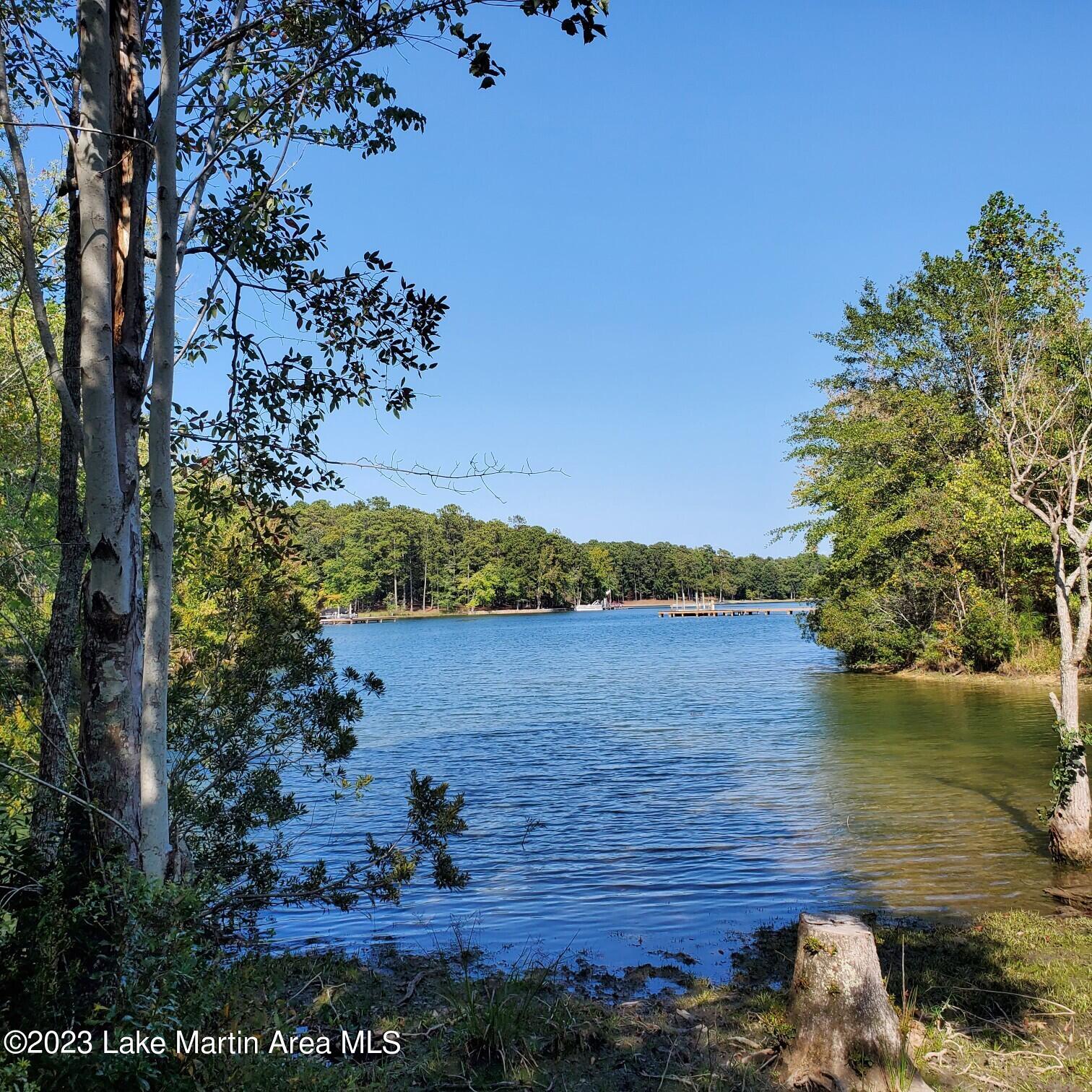 Lot 1 Lakewinds Road Alexander City, AL 35010 - Photo 1 of 1 Gallery Image 1