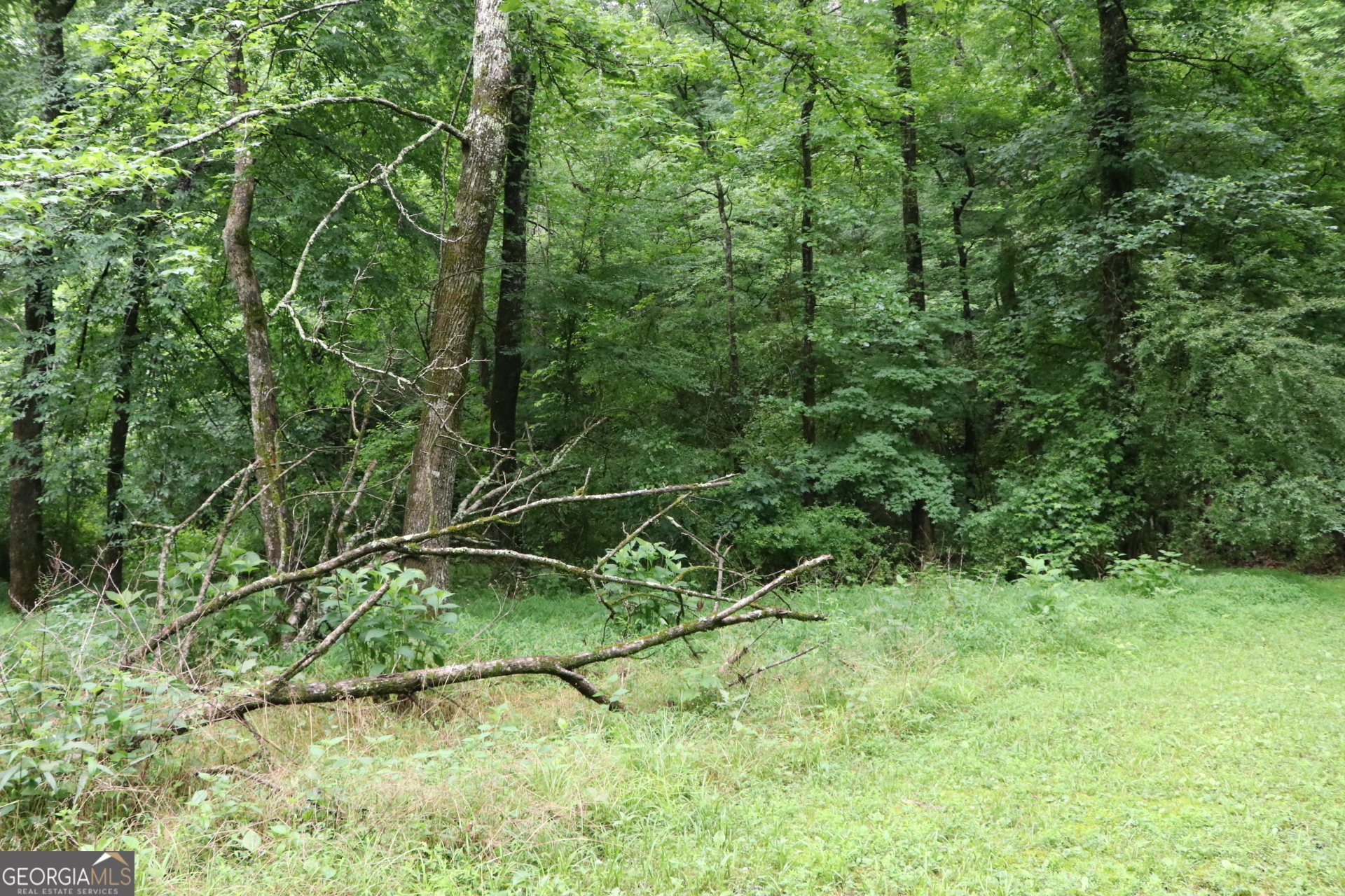 833 Neal Gap Road Summerville, GA 30747 - Photo 36 of 86
