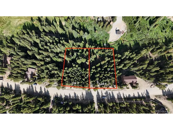 a open area with lots of trees