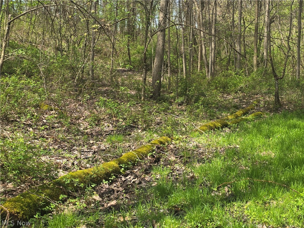 Tische Road Jefferson, OH 44047 - Photo 6 of 21