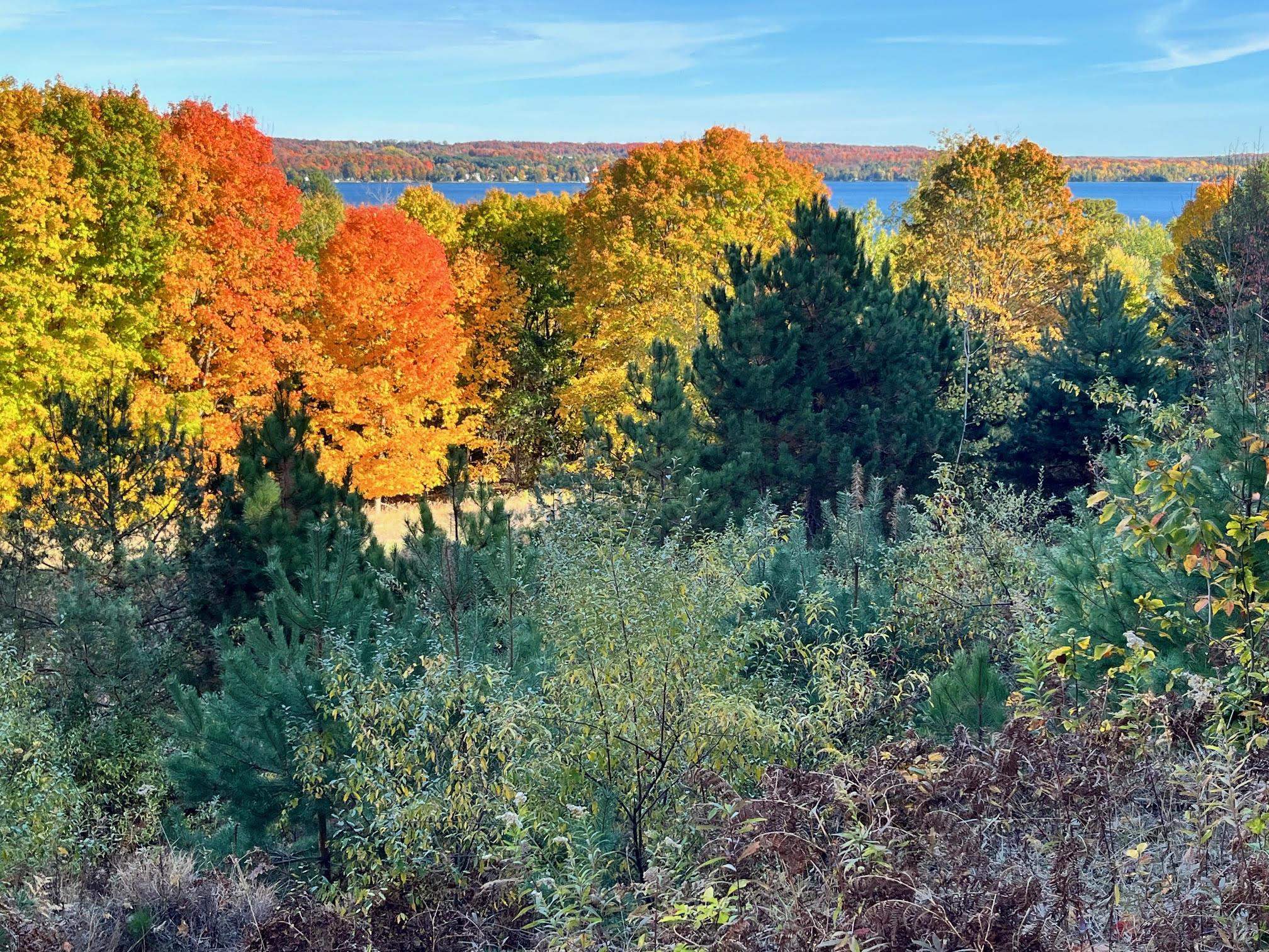 0 East Hidden Beach Road Cedar, MI 49621 - Photo 2 of 10
