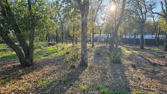 a view of a yard with trees