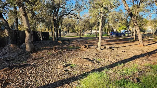 a view of a yard with tiny trees