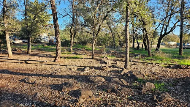 a view of a yard with trees