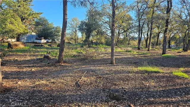 a view of a yard with trees