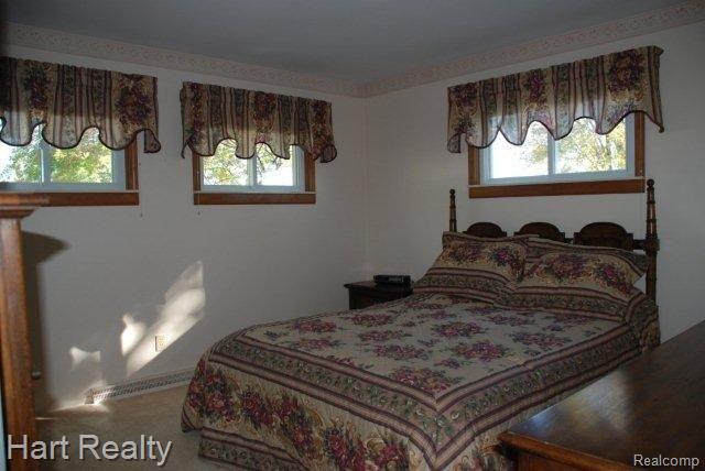 6095 Lynd Road Marlette, MI 48453 - Photo 13 of 25 lynd 013.jpg