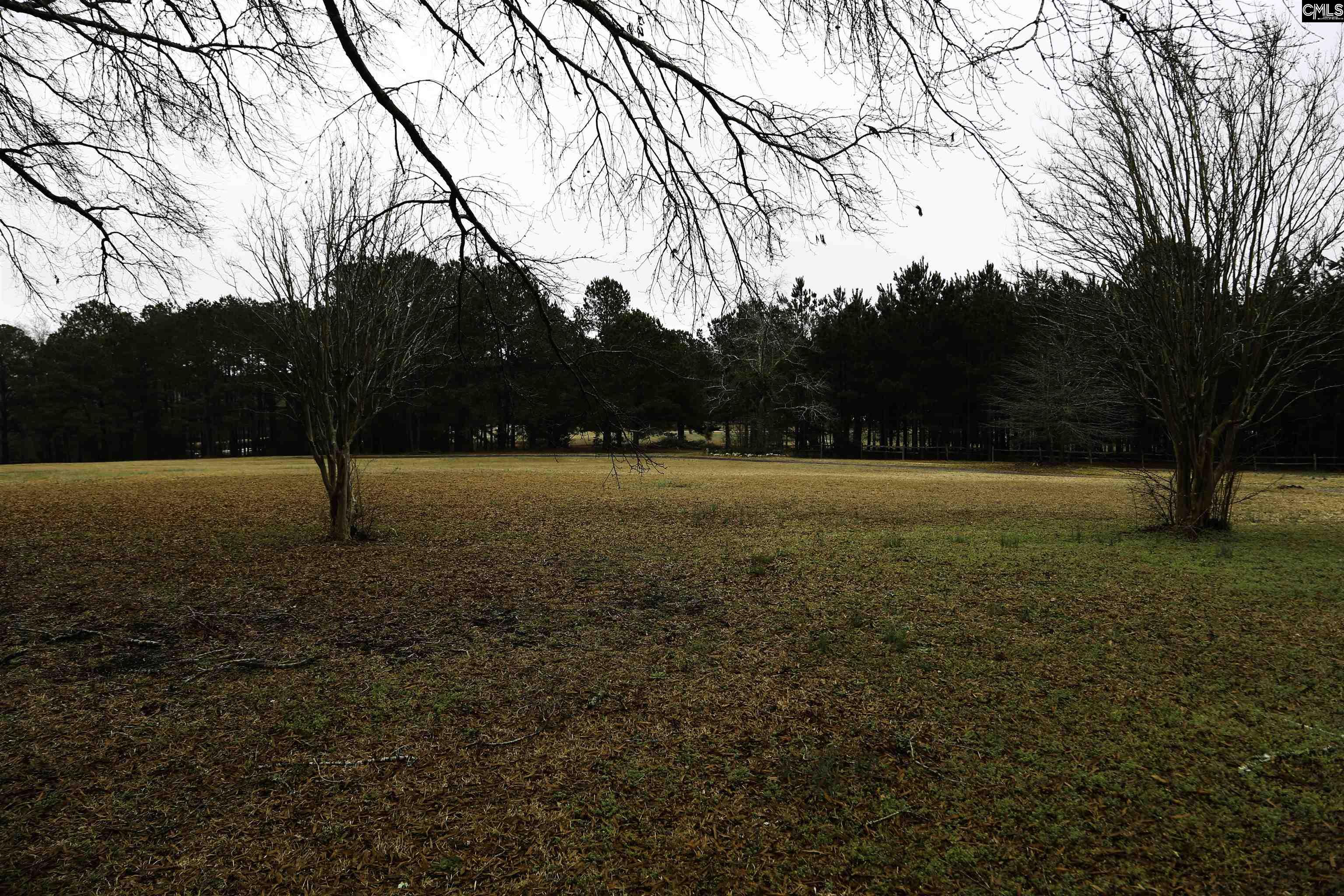 611 Longtown Road Lugoff, SC 29078 - Photo 15 of 52