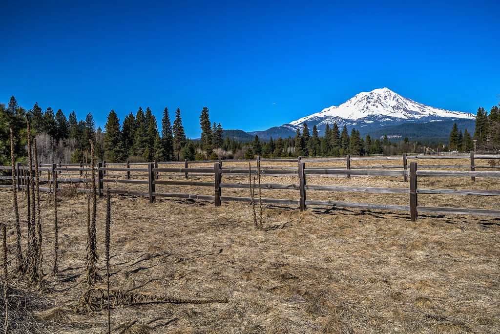 8 Squaw Valley Road McCloud, CA 96057 - Photo 2 of 6 Gallery Image 2