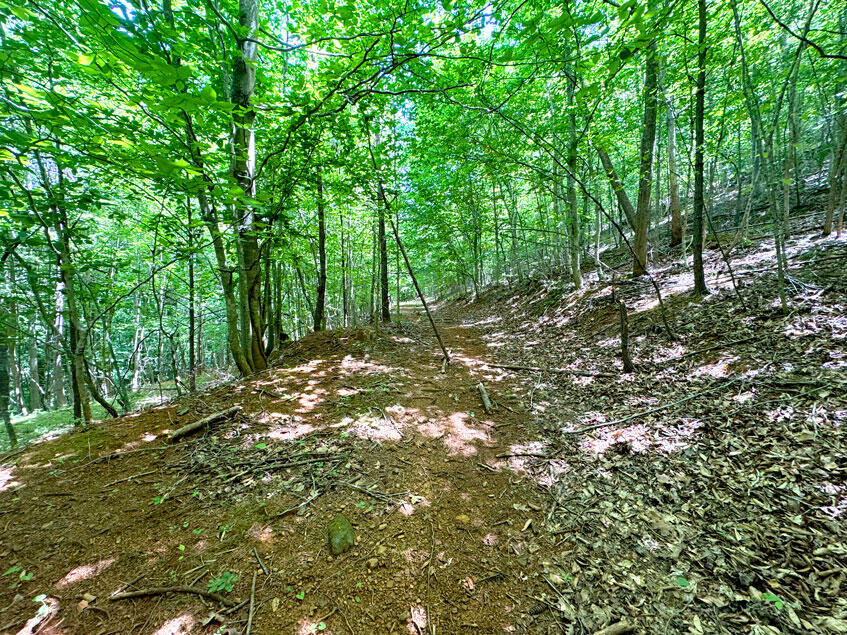 0 Lavender Road Shawsville, VA 24162 - Photo 2 of 47 a backyard of a house with lots of green space and garden