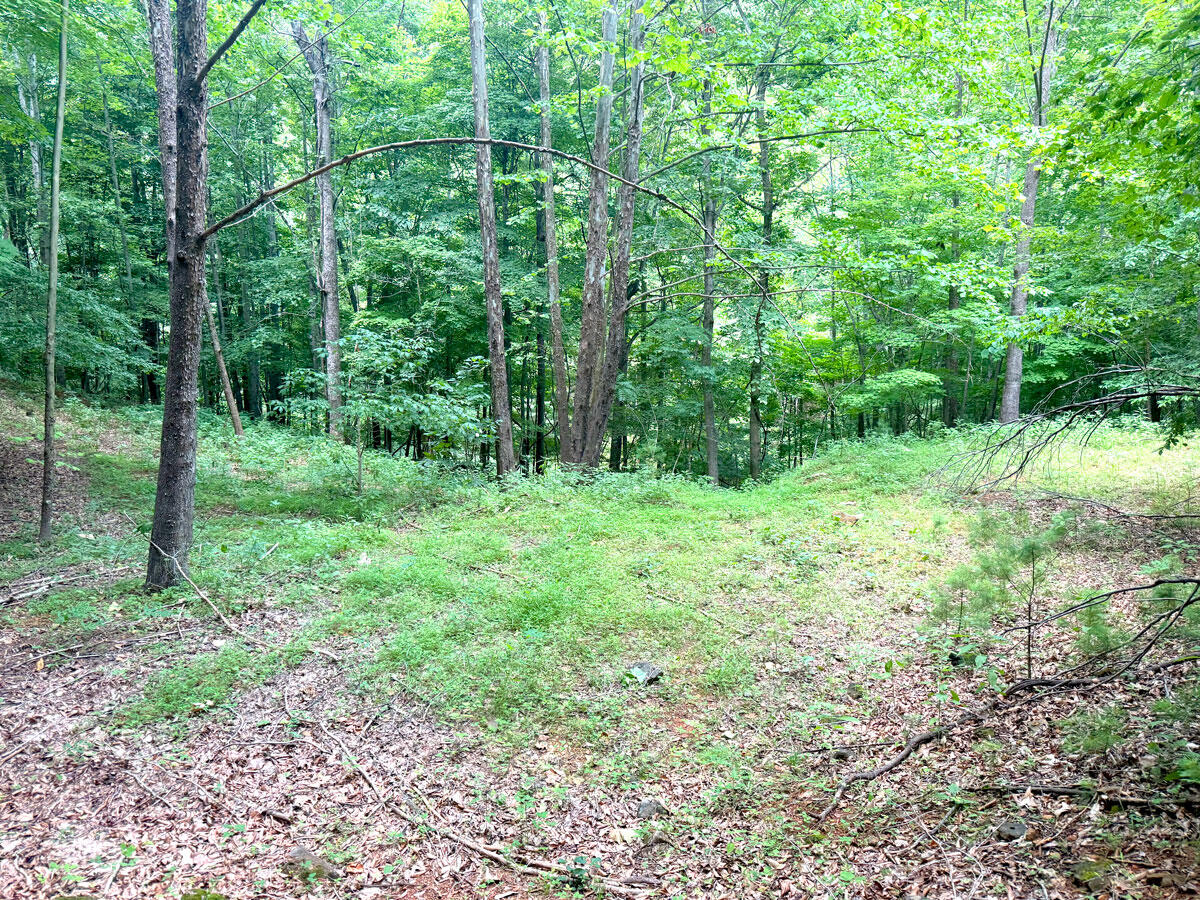 0 Lavender Road Shawsville, VA 24162 - Photo 23 of 47 a view of outdoor space and green space