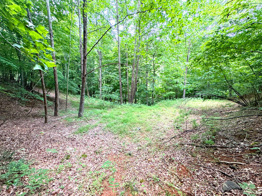 0 Lavender Road Shawsville, VA 24162 - Photo 24 of 47 a view of a yard with a tree