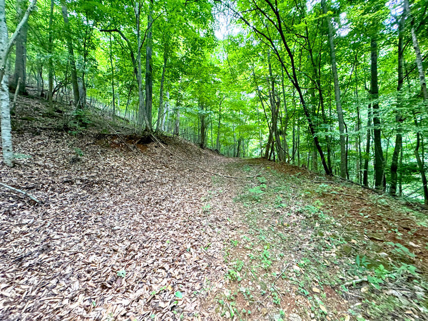 0 Lavender Road Shawsville, VA 24162 - Photo 27 of 47 a big yard with lots of green space and deers
