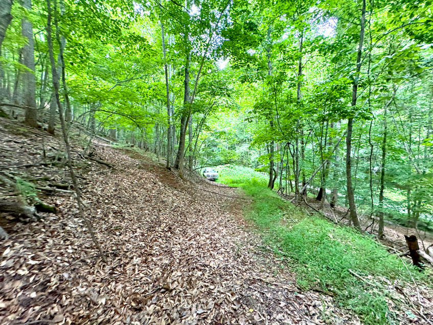 0 Lavender Road Shawsville, VA 24162 - Photo 29 of 47 a green field with lots of trees in it