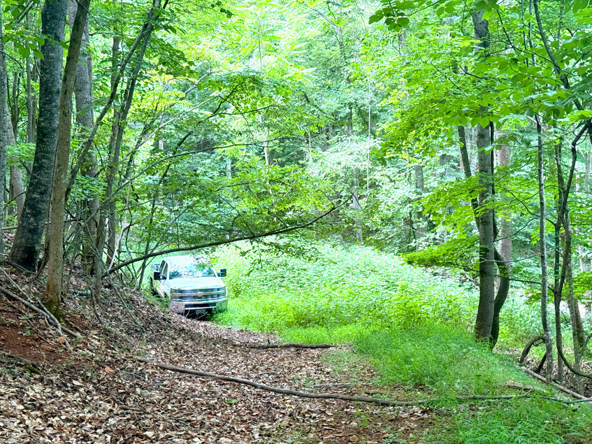 0 Lavender Road Shawsville, VA 24162 - Photo 30 of 47 a pathway of a yard