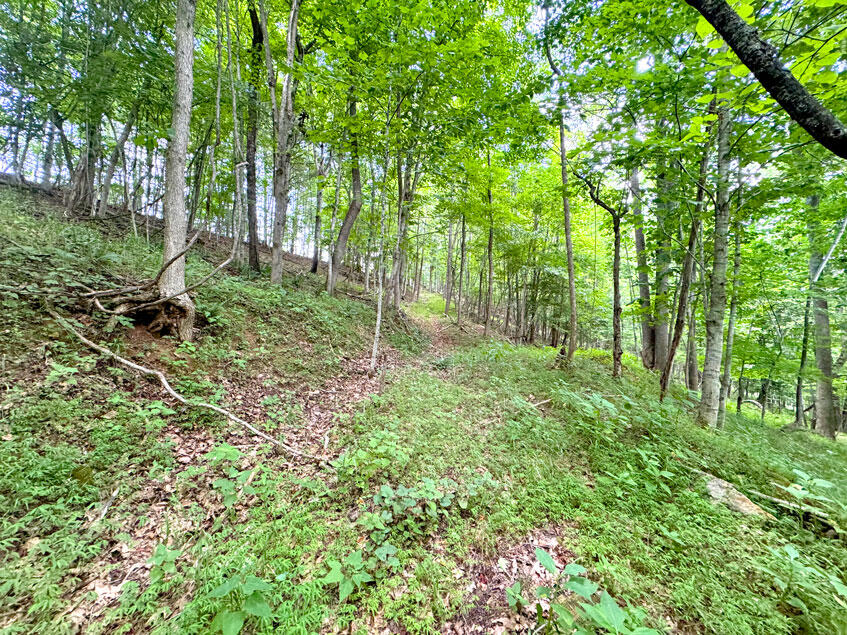 0 Lavender Road Shawsville, VA 24162 - Photo 32 of 47 a view of outdoor space and tree