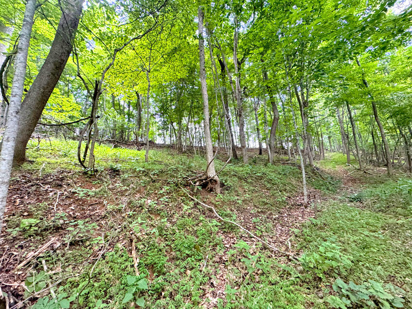 0 Lavender Road Shawsville, VA 24162 - Photo 34 of 47 a backyard of a house with lots of green space