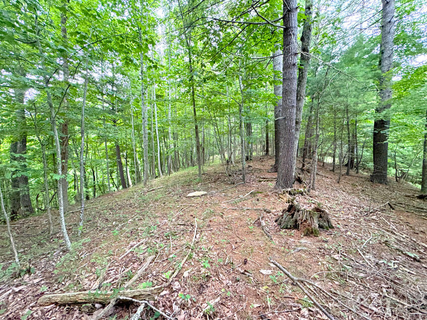 0 Lavender Road Shawsville, VA 24162 - Photo 38 of 47 a view of a backyard with trees