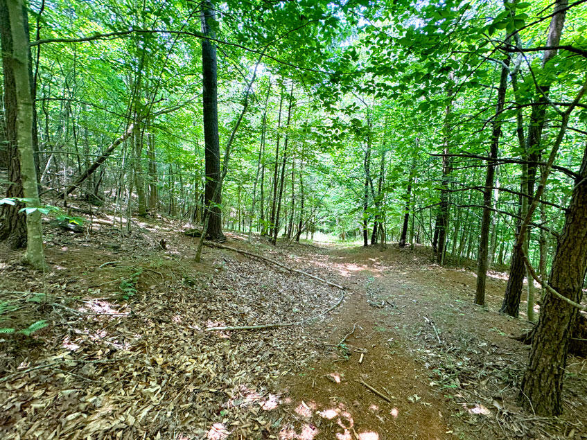 0 Lavender Road Shawsville, VA 24162 - Photo 4 of 47 a view of outdoor space and trees