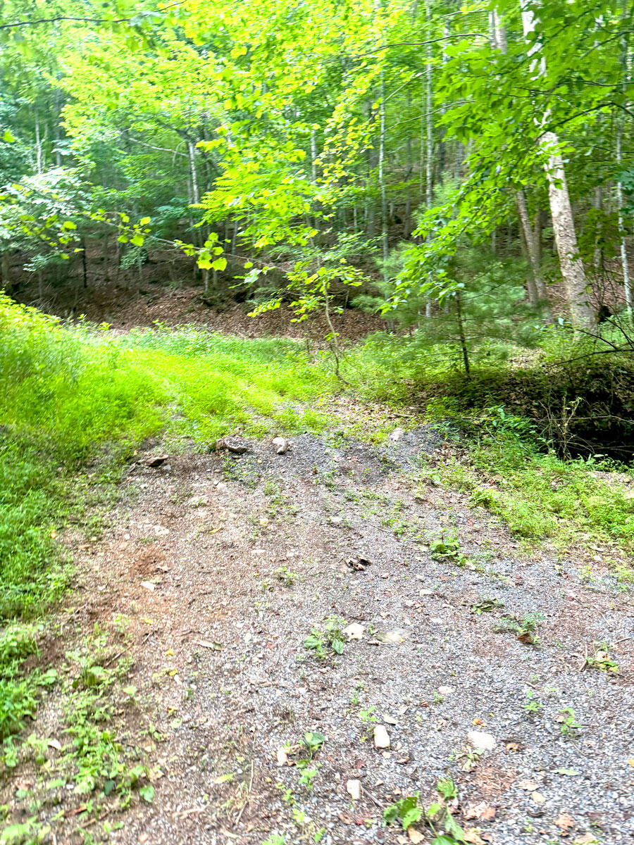 0 Lavender Road Shawsville, VA 24162 - Photo 45 of 47 a view of backyard with green space