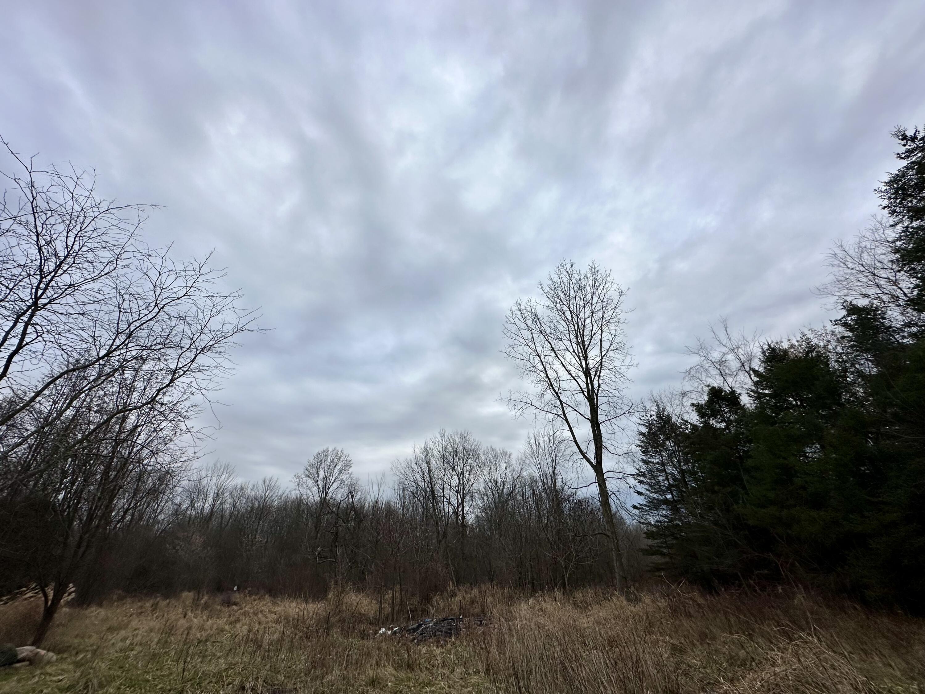 362 Francisco Road Union City, MI 49094 - Photo 11 of 12 IMG_2347