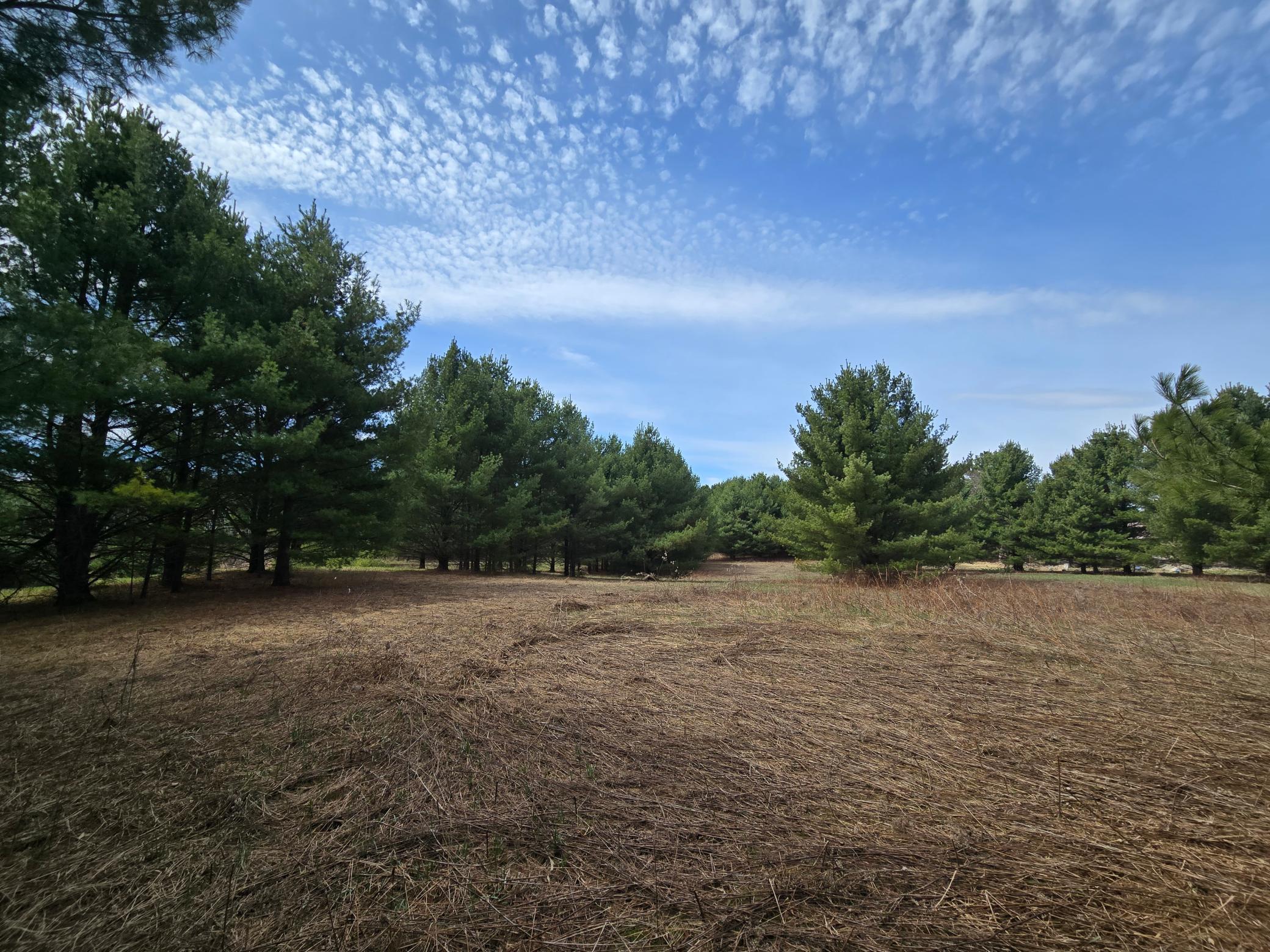 2488 20th Street Cumberland, WI 54829 - Photo 11 of 19