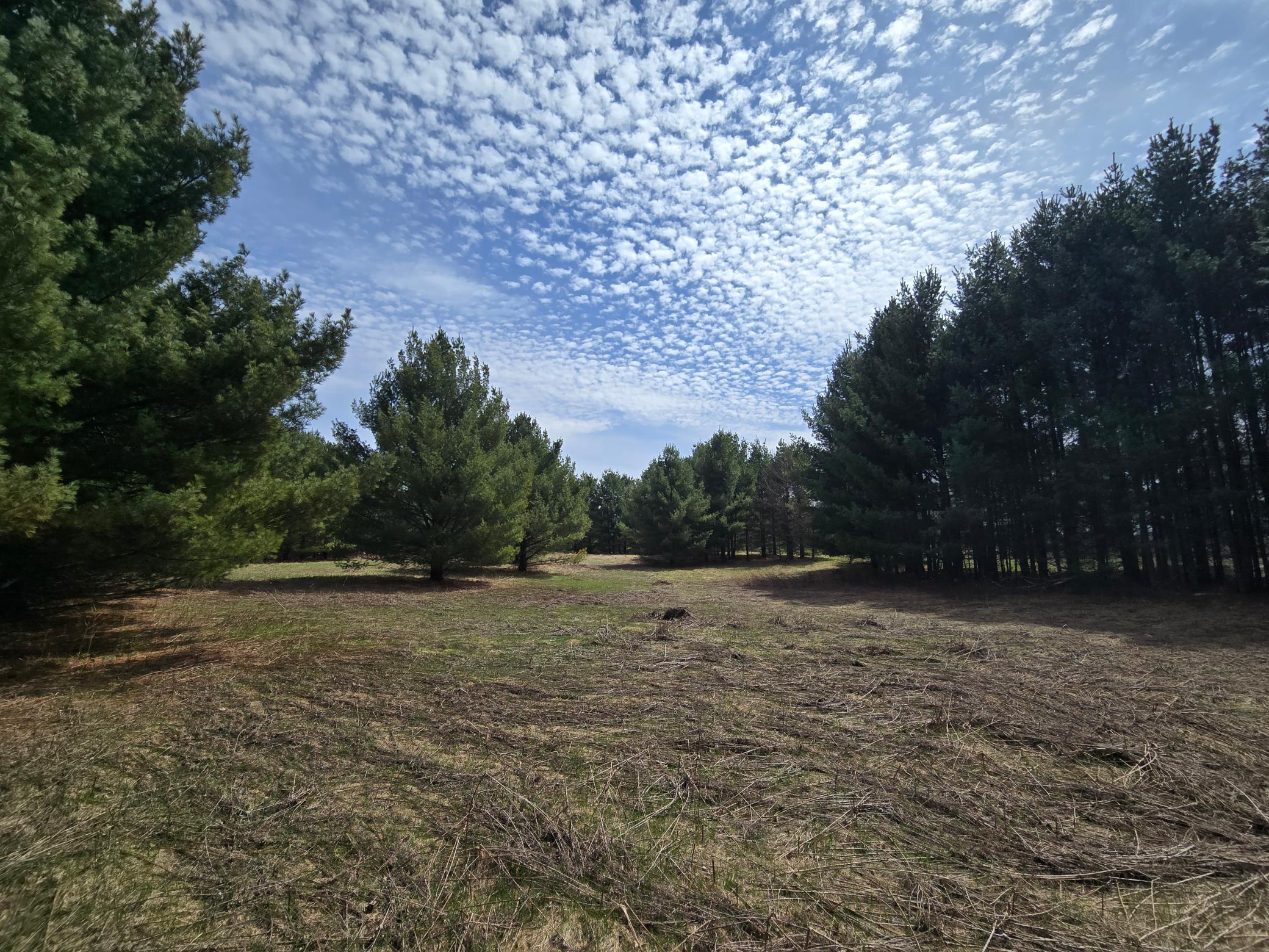 2488 20th Street Cumberland, WI 54829 - Photo 13 of 19