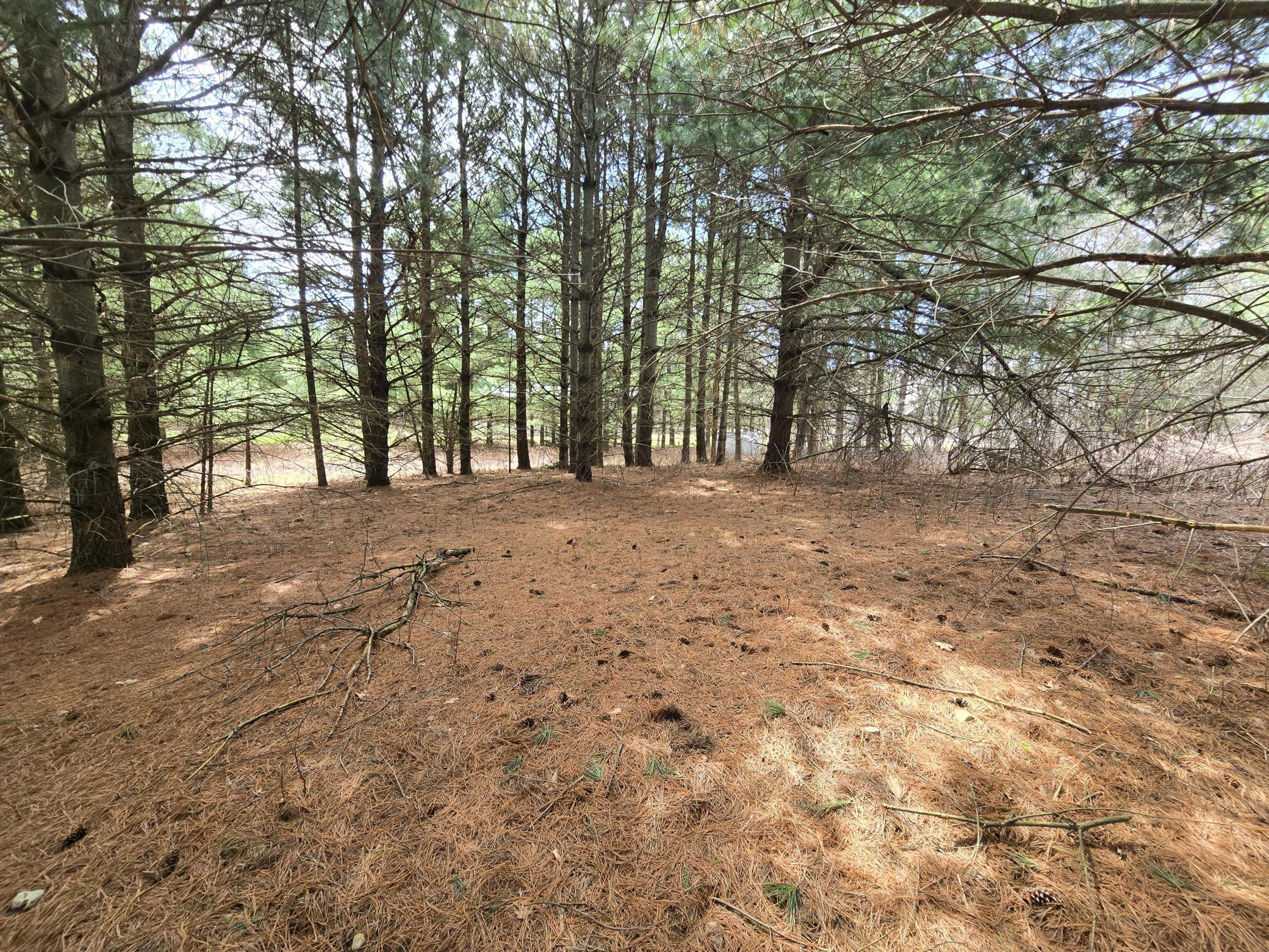 2488 20th Street Cumberland, WI 54829 - Photo 14 of 19