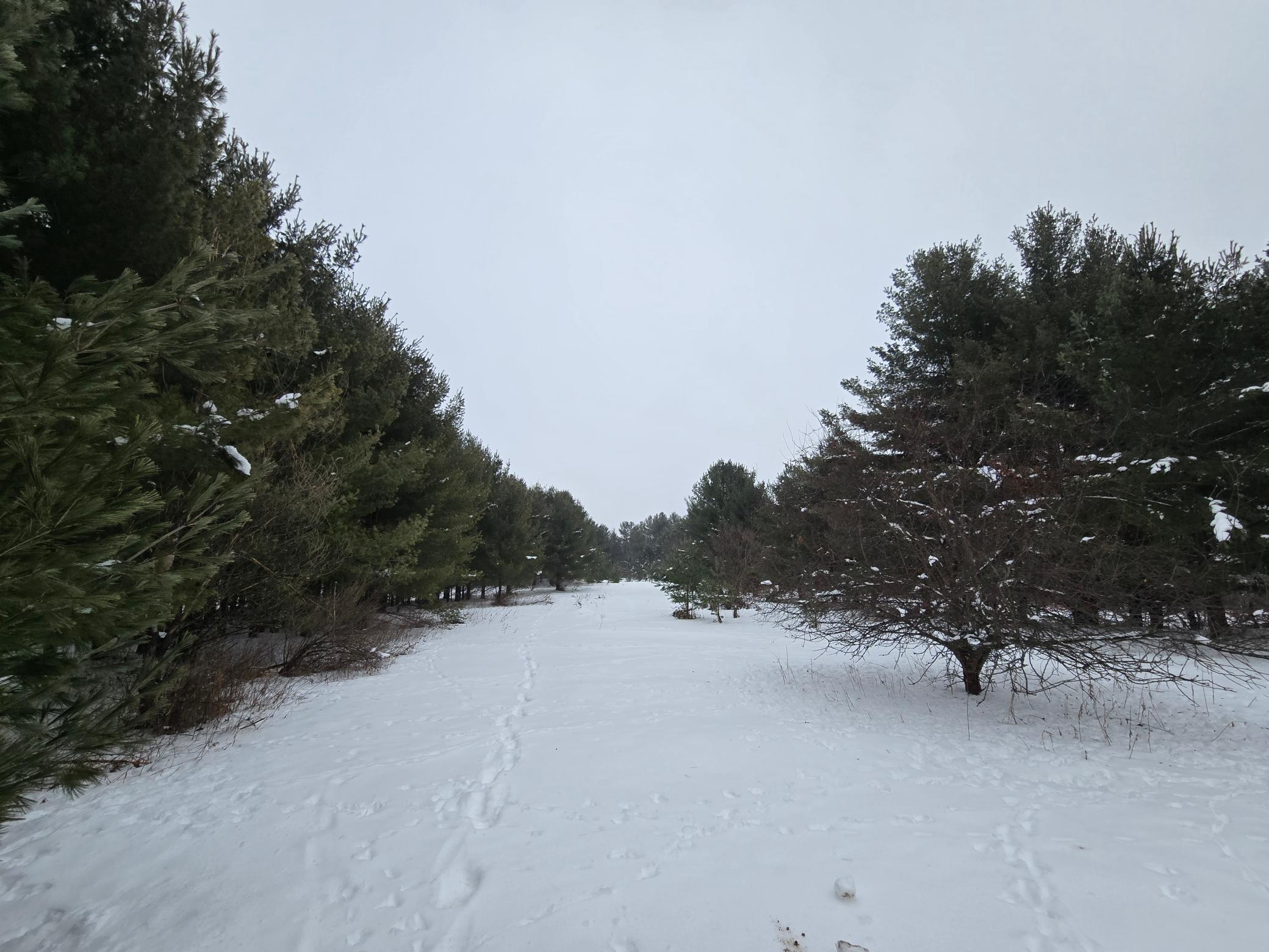 2488 20th Street Cumberland, WI 54829 - Photo 3 of 12