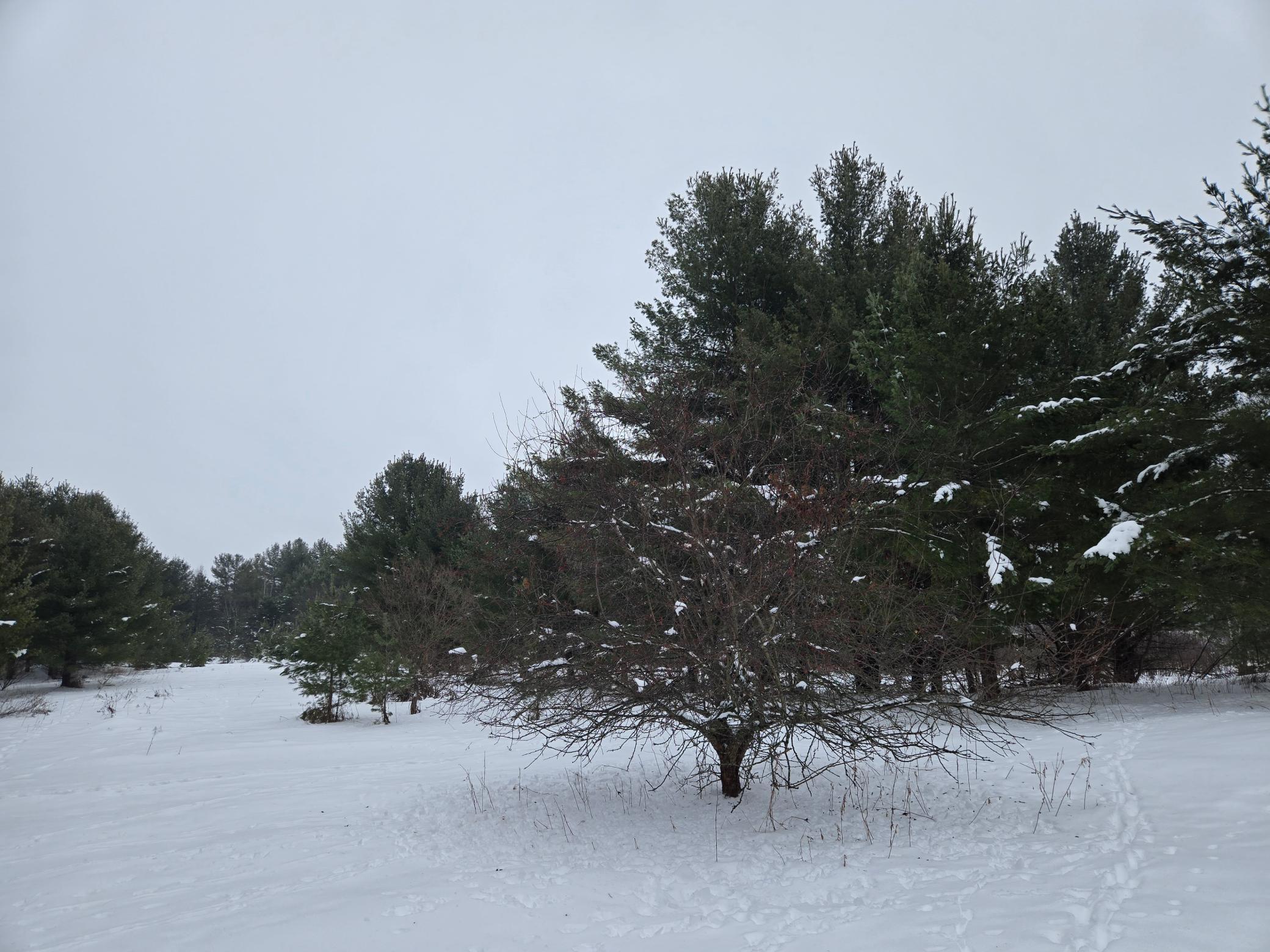 2488 20th Street Cumberland, WI 54829 - Photo 6 of 12