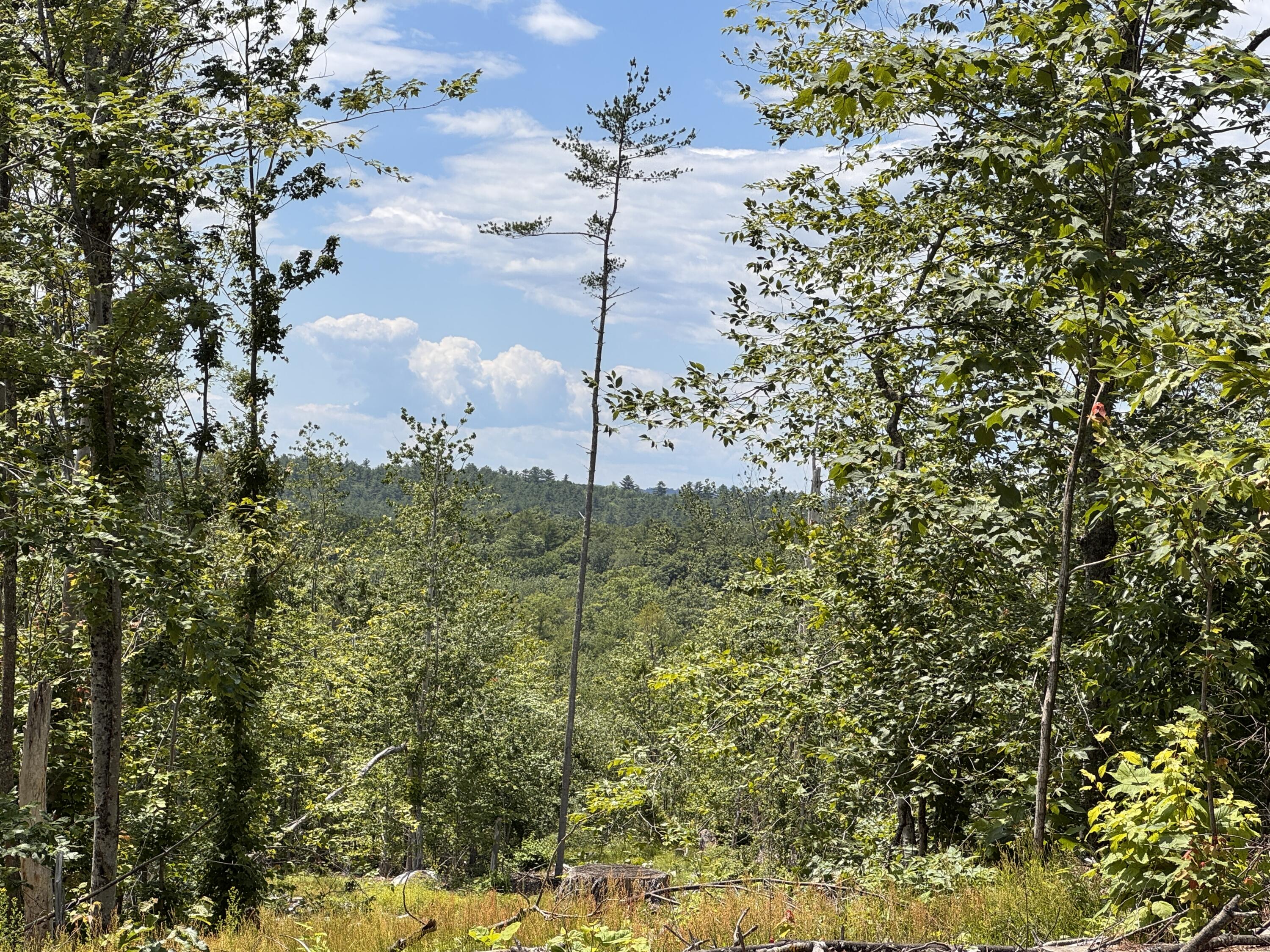 Multiple Quaker Ridge Road Leeds, ME 04263 - Photo 58 of 79 View from knoll2