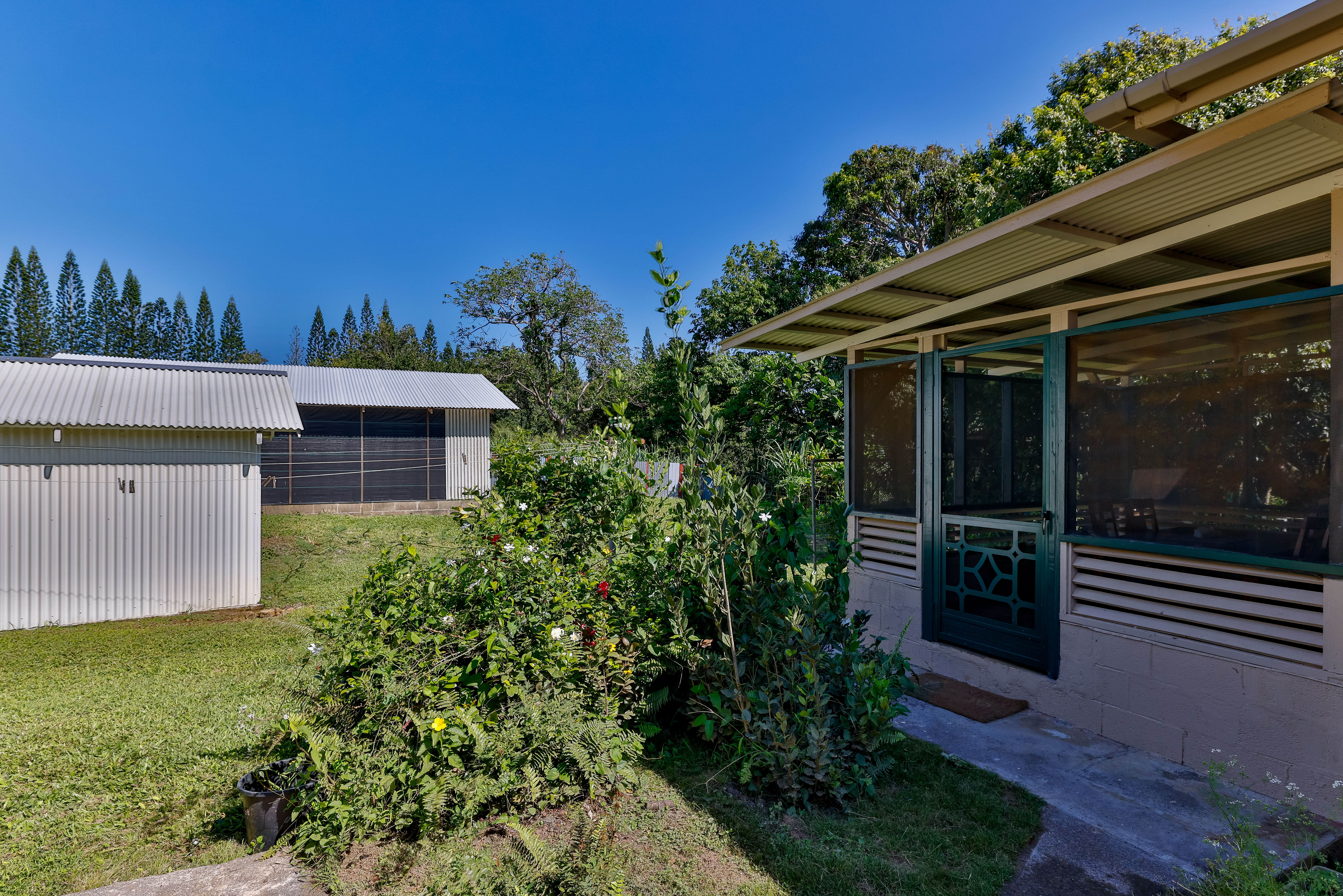 53-460 Halaula Maulili Road Kapaau, HI 96755 - Photo 20 of 30
