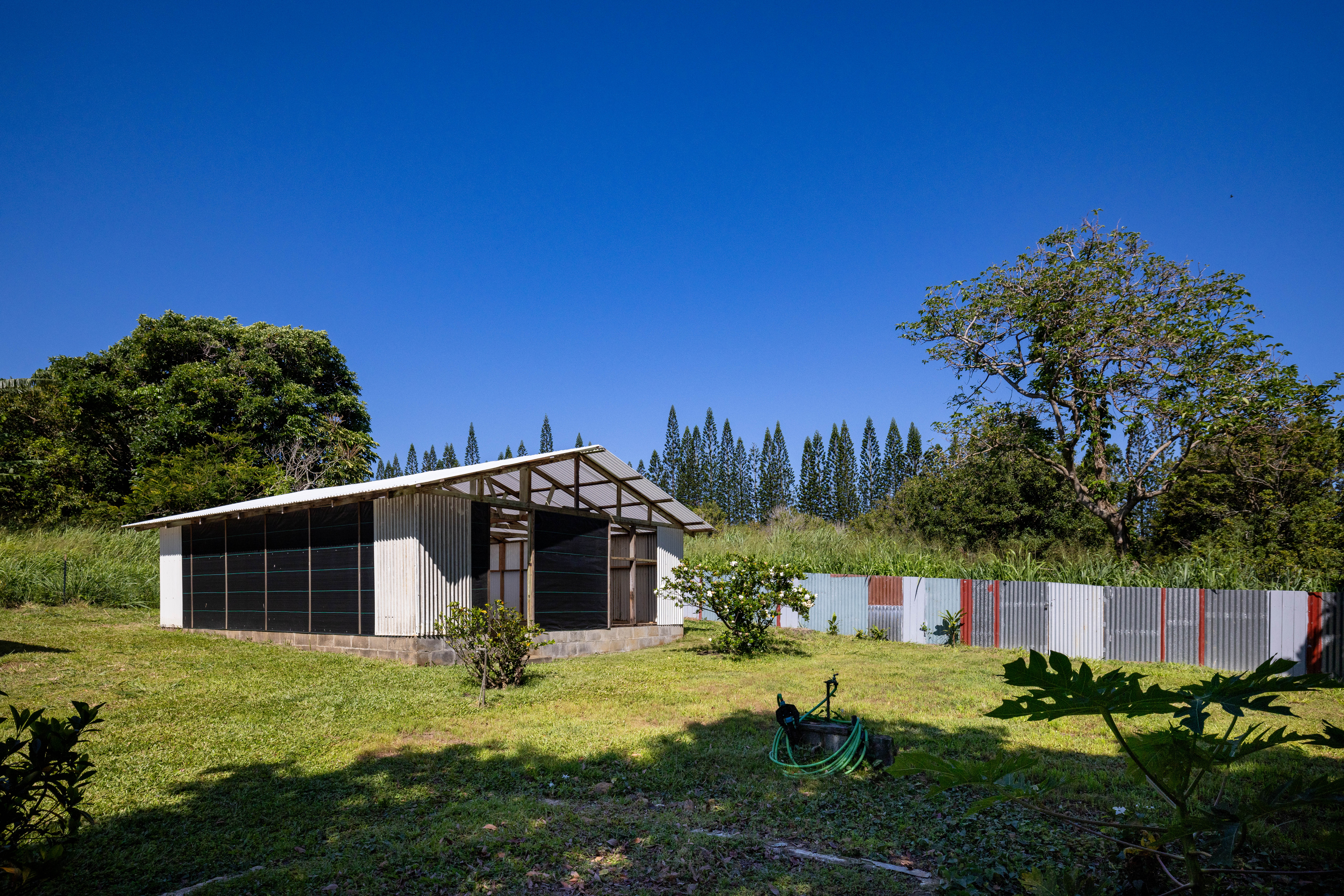 53-460 Halaula Maulili Road Kapaau, HI 96755 - Photo 23 of 30