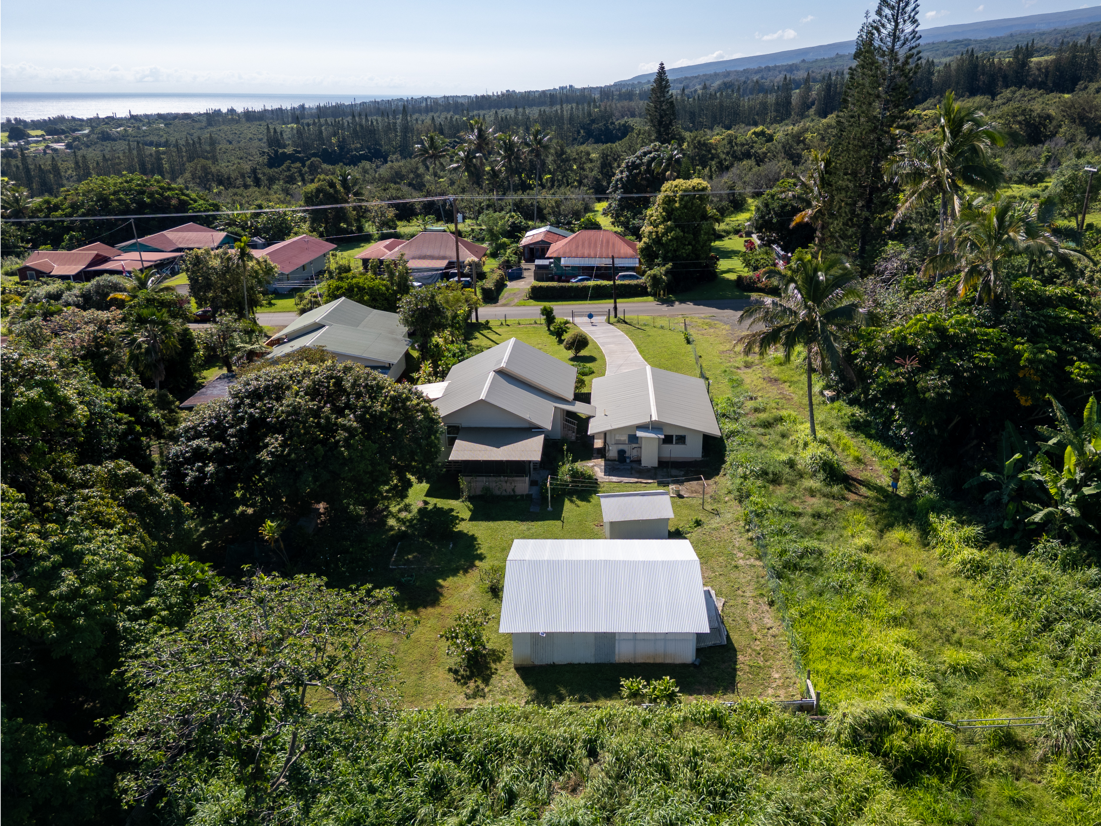 53-460 Halaula Maulili Road Kapaau, HI 96755 - Photo 28 of 30