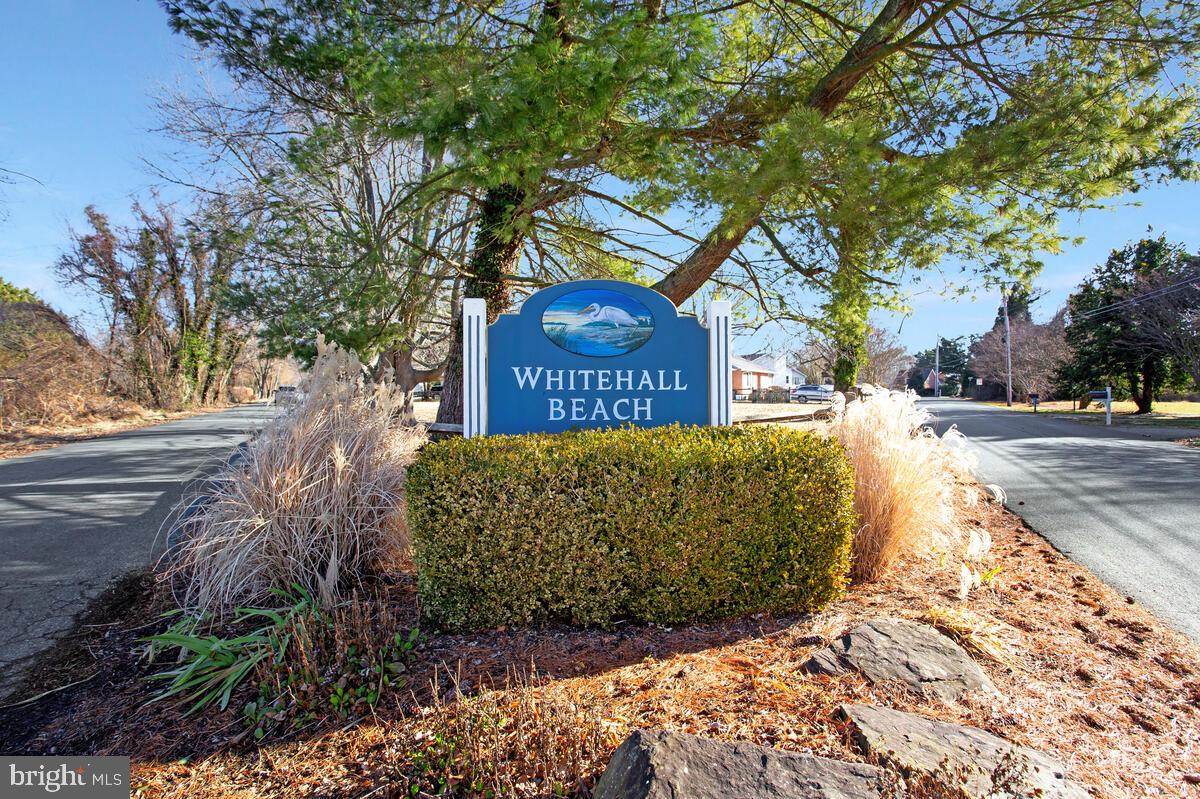 735 Whitehall Beach Road Annapolis, MD 21409 - Photo 29 of 35 a view of a street with potted plants and large trees