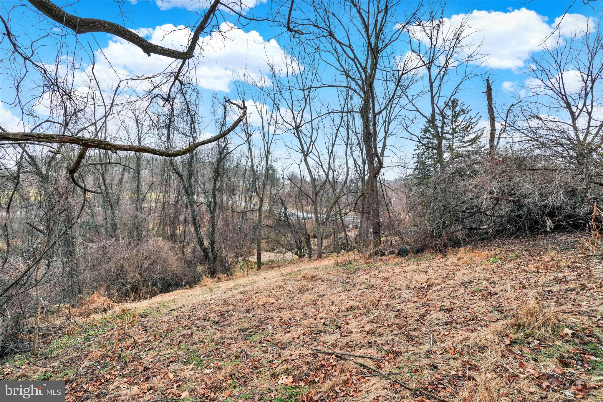 695 Oak Road Dallastown, PA 17313 - Photo 13 of 17 a backyard of a house with large trees