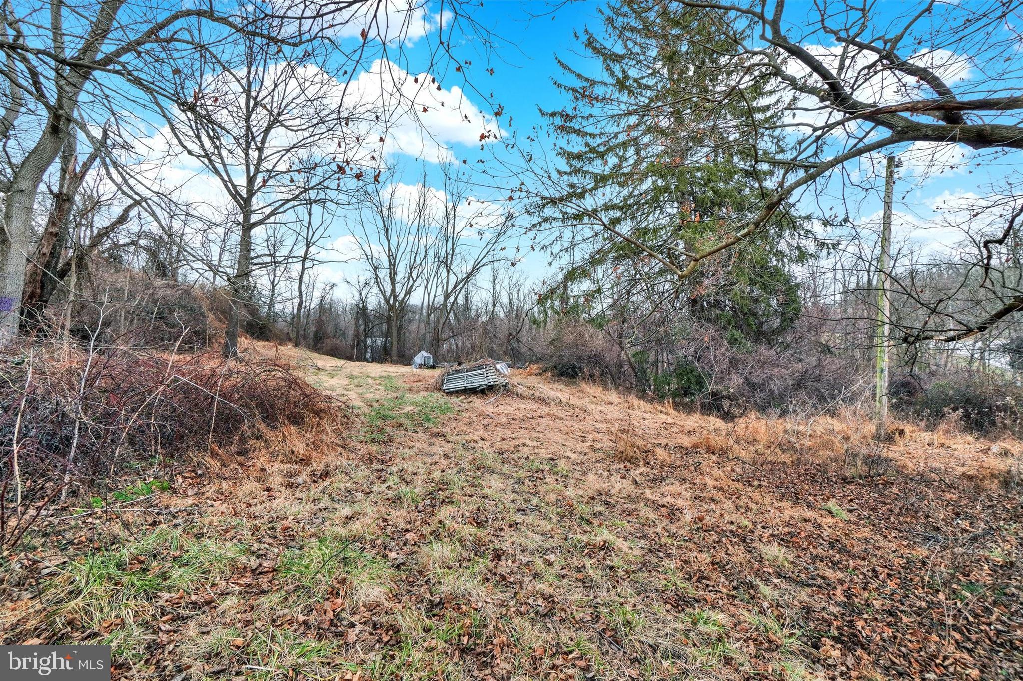 695 Oak Road Dallastown, PA 17313 - Photo 15 of 17 a view of outdoor space with trees all around