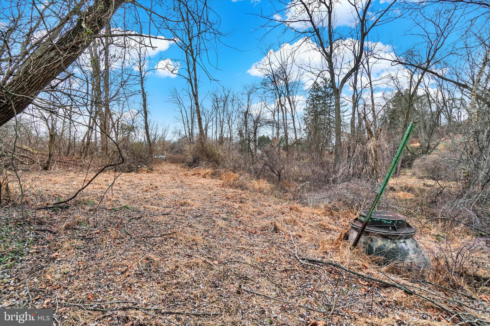 695 Oak Road Dallastown, PA 17313 - Photo 8 of 17 a backyard of a house with large trees