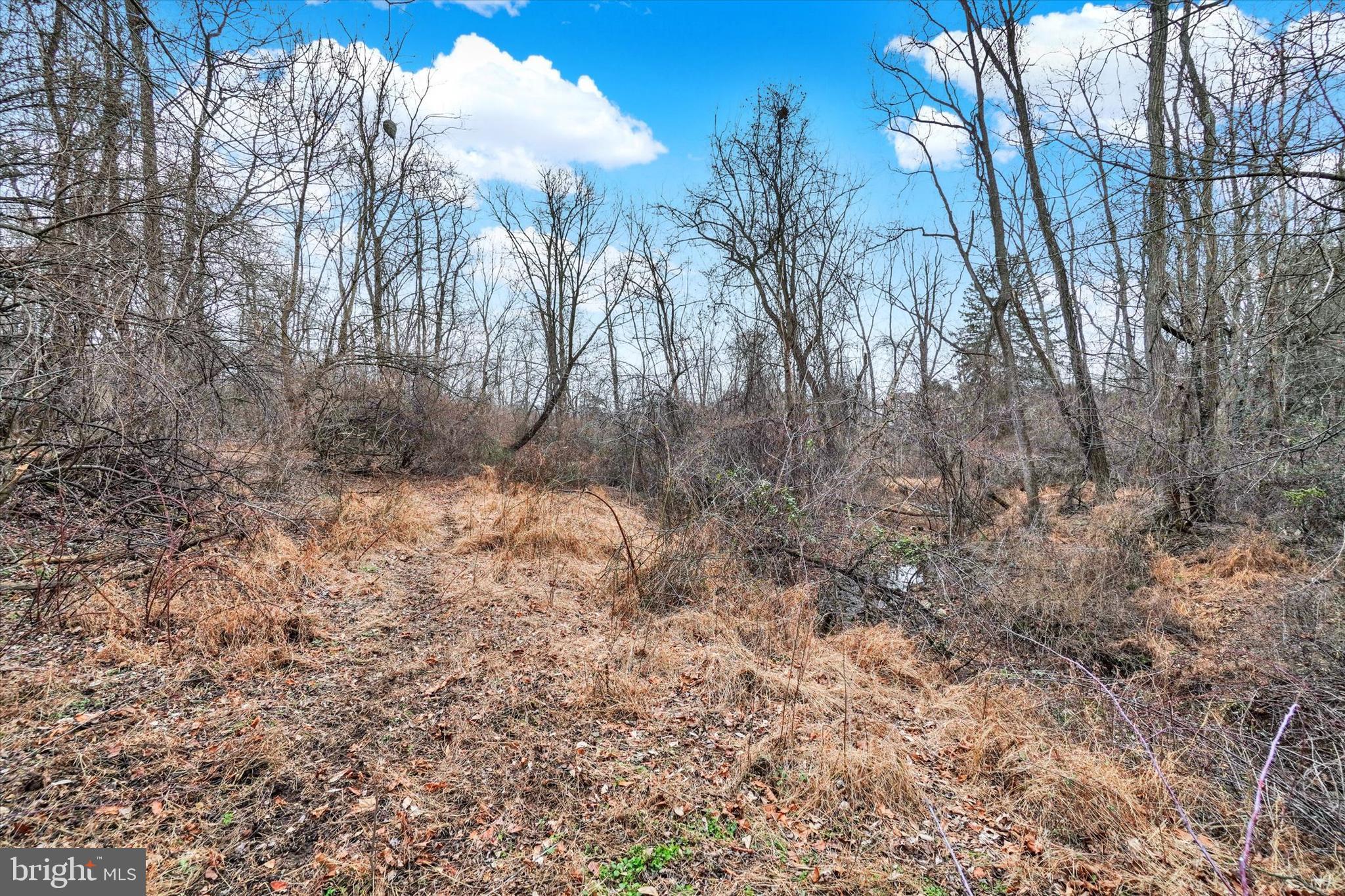695 Oak Road Dallastown, PA 17313 - Photo 9 of 17 a view of a yard with trees
