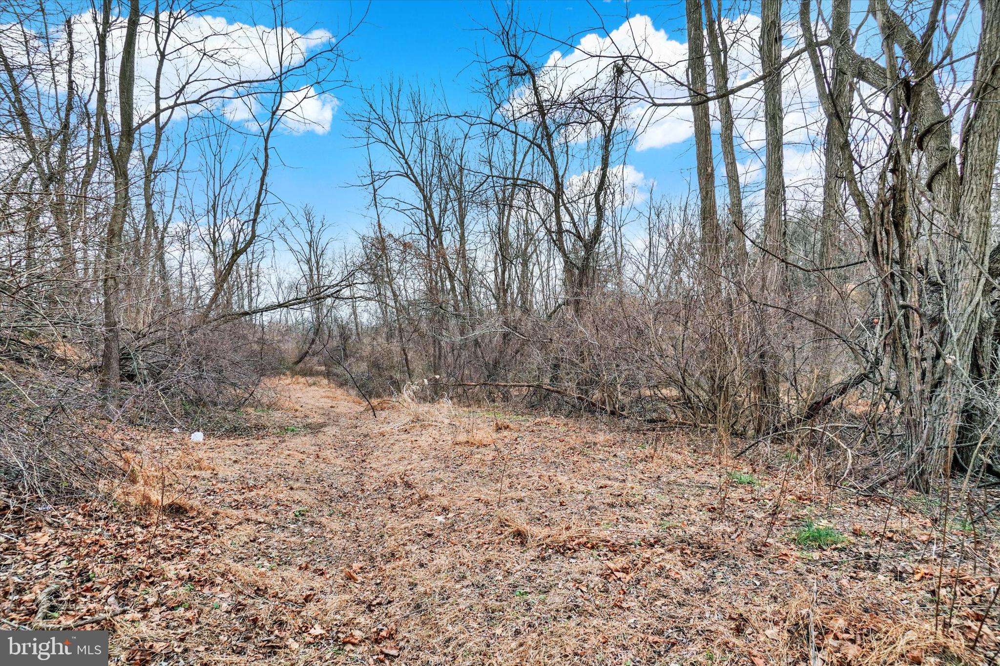 695 Oak Road Dallastown, PA 17313 - Photo 10 of 17 a backyard of a house with lots of green space
