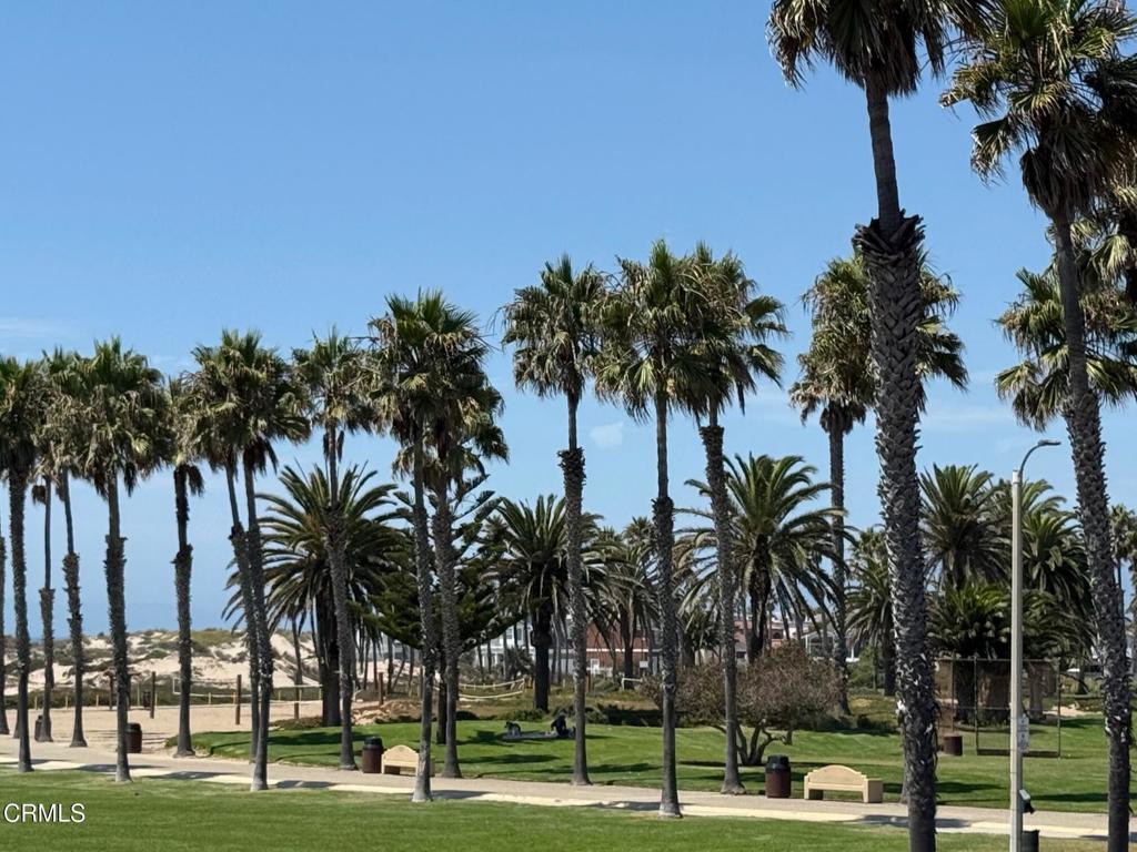 920 Catamaran Street Oxnard, CA 93035 - Photo 2 of 17 a view of three palm trees