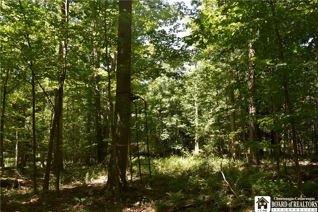 0 Bayview Road Bemus Point, NY 14712 - Photo 11 of 31