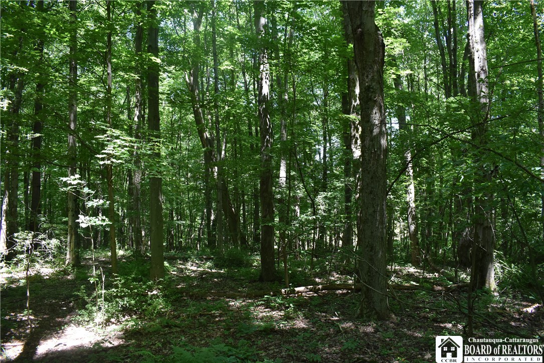 0 Bayview Road Bemus Point, NY 14712 - Photo 12 of 31